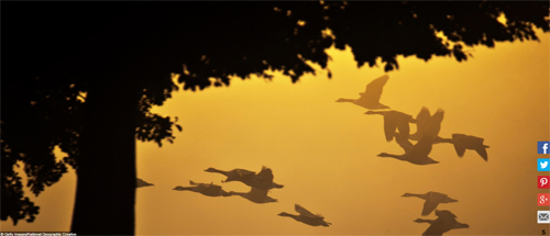 Ngất ngây với những hình ảnh tuyệt đẹp về mùa thu trên khắp thế giới - 9