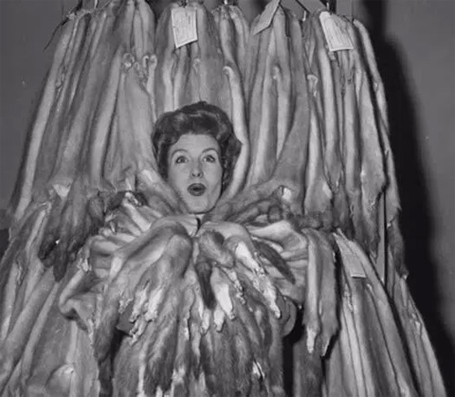 Có thể bạn chưa biết: Hoa hậu quả chanh, hoa hậu xúc xích cũng có trên đời - 10