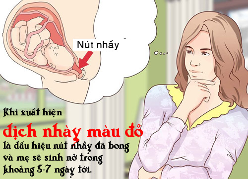 Mang thai tháng thứ 9, mẹ bầu nào cũng phải biết 6 dấu hiệu này! - 2