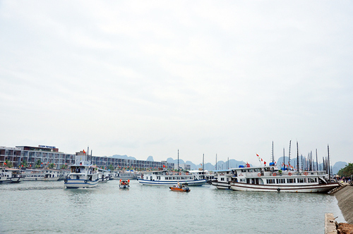 Tin bão số 7: Đảo Cô Tô, Bạch Long Vĩ bắt đầu có mưa và gió mạnh - 3