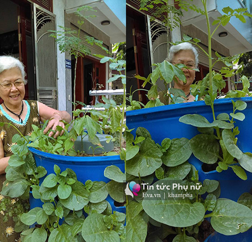 Bỏ tập đoàn nước ngoài, 8X về quê xây dựng mô hình tháp rau sạch - 10