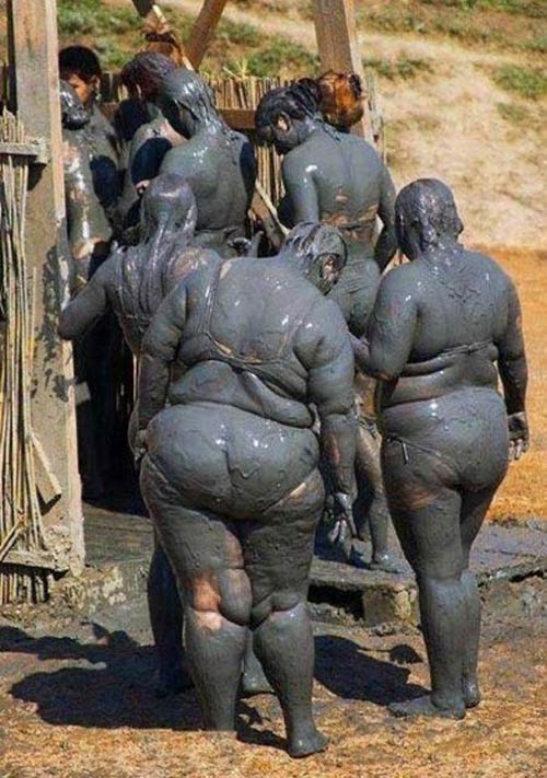 Xem mấy bức ảnh này cũng đủ để bạn vui cả ngày - 1