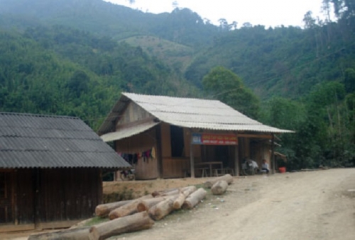 Mâu thuẫn với chồng, người vợ 17 tuổi ăn lá ngón tự tử - 1