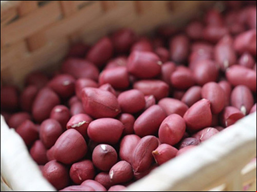 Những ai không nên ăn đậu phộng? - 1