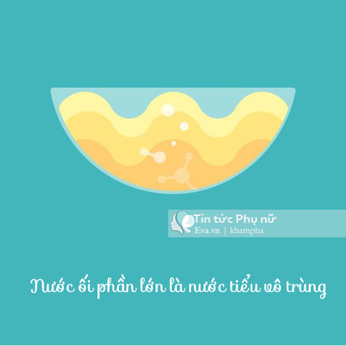 Mẹ sẽ ngỡ ngàng khi biết thai nhi trong bụng lại làm được những điều này - 12