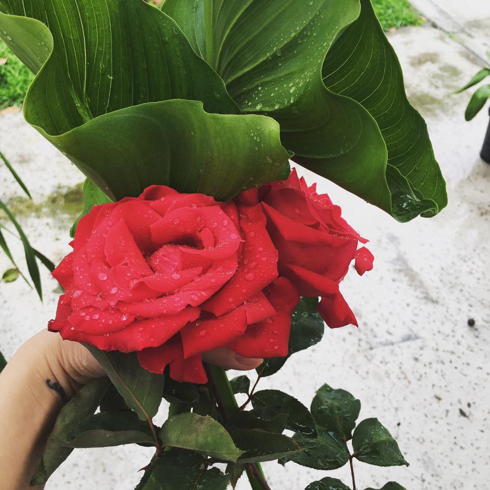 Cưỡng không lại sức mê hoặc trong từng góc nhỏ nhà Kim Hiền ở Mỹ - 3
