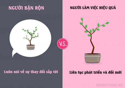 Sự khác nhau giữa người bận rộn và người làm việc hiệu quả - 8