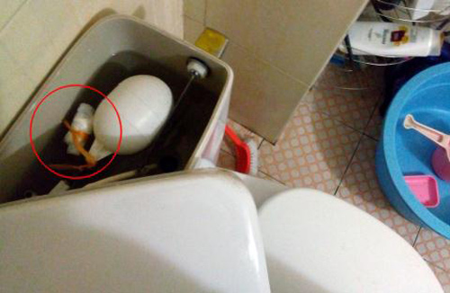 Chiêu độc của vợ khi phát hiện 8 chỉ vàng chồng giấu trong bồn cầu - 1