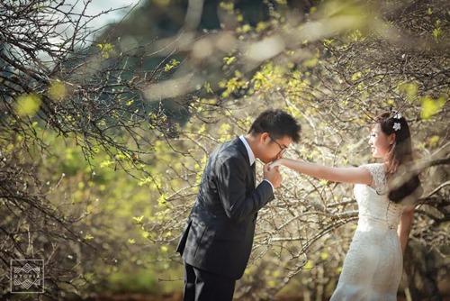 Lời cầu hôn ngọt lịm của cặp đôi mê phượt - 12