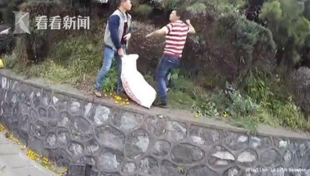 Tài xế khóc nức nở vì xe cam bị lật mà người dân vẫn lao vào hôi của - 3