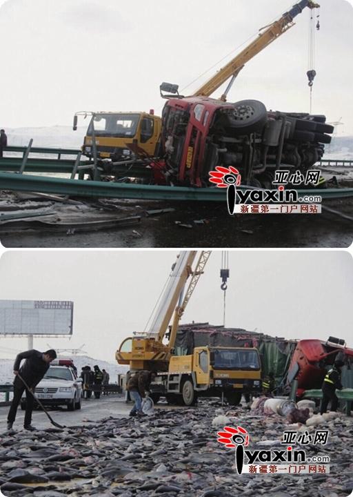Tài xế khóc nức nở vì xe cam bị lật mà người dân vẫn lao vào hôi của - 6