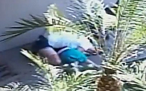 Khoảnh khắc mẹ xả thân cứu con trai bị 2 con chó dữ lao vào cắn xé - 3