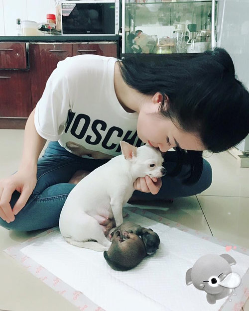 Thanh Thảo khiến fan quot;mừng hụtquot; vì hình ảnh mặc váy cưới ở tuổi 39 - 5