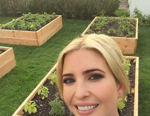 Ngưỡng mộ khu vườn rau sạch của ái nữ Tổng thống - Ivanka Trump - 3