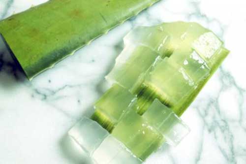 Môi thâm bẩm sinh đến mấy cũng sẽ hồng thắm với hỗn hợp này - 2