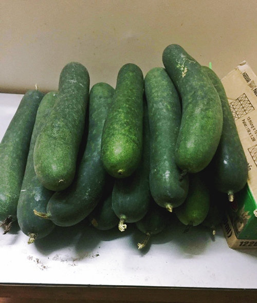 Vườn rau sân thượng 170m2 chen chúc rau, hoa, quả rực rỡ của mẹ Việt - 11