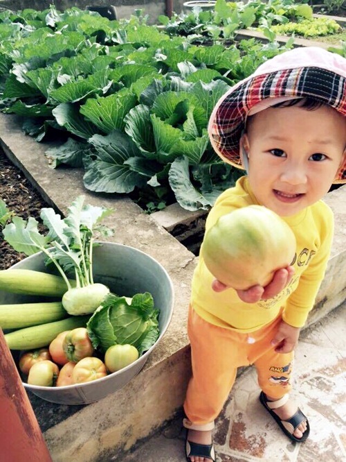 Vườn rau sân thượng 170m2 chen chúc rau, hoa, quả rực rỡ của mẹ Việt - 1