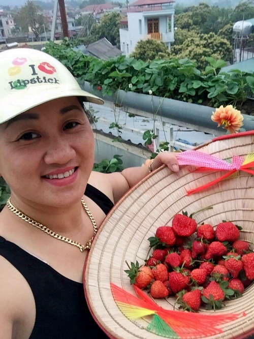 Vườn rau sân thượng 170m2 chen chúc rau, hoa, quả rực rỡ của mẹ Việt - 13