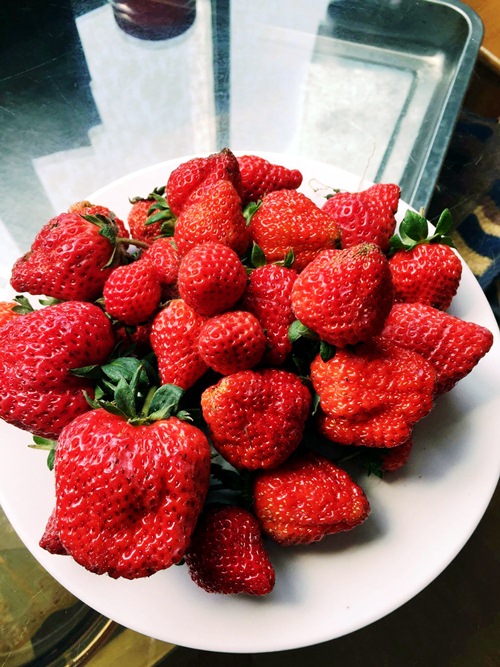 Vườn rau sân thượng 170m2 chen chúc rau, hoa, quả rực rỡ của mẹ Việt - 14