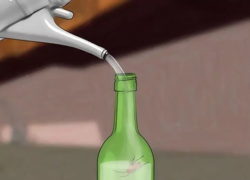 Cách diệt gián không còn một con chỉ nhờ lon bia uống dở - 5