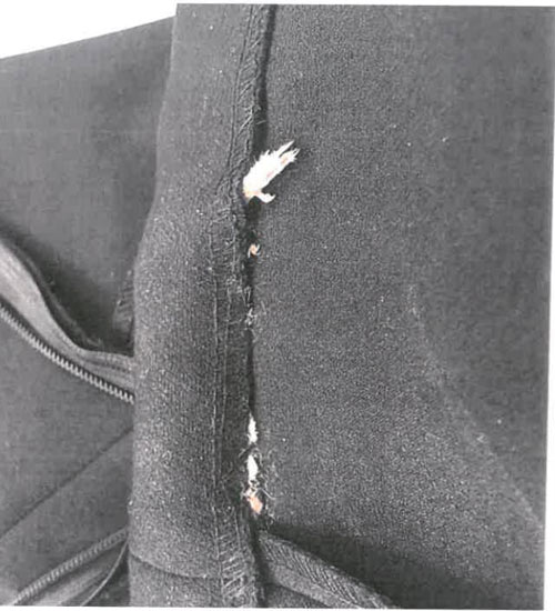 Khách hàng kiện Zara sau khi phát hiện chuột chết trong váy - 2