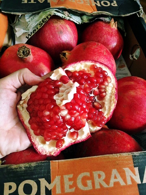 Lựu khổng lồ, giá cao ngất vẫn hút khách mua - 3