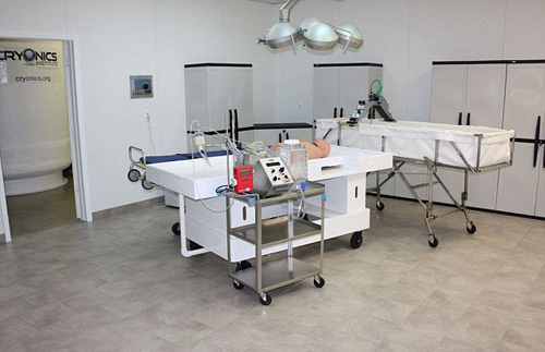 Cô bé qua đời vì ung thư được đóng băng cơ thể chờ ngày... hồi sinh - 2