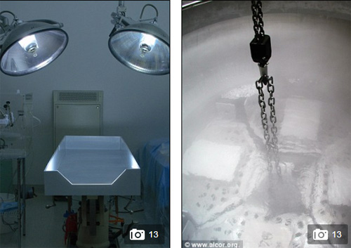 Cô bé qua đời vì ung thư được đóng băng cơ thể chờ ngày... hồi sinh - 3