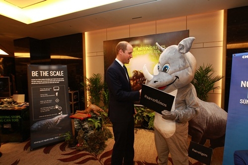 Hoàng tử William dễ thương bắt tay tê giác trong sự kiện ở Việt Nam - 4