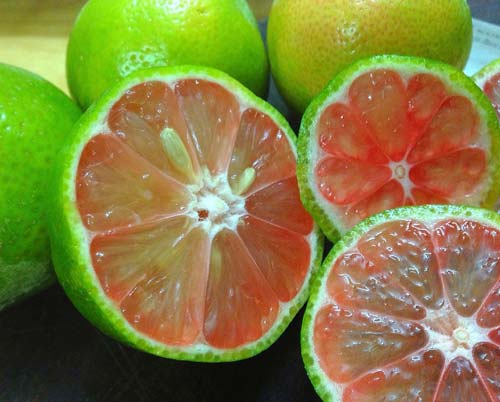 Chế biến chanh theo cách dưới đây, giảm ngay 10kg chẳng có gì khó - 1