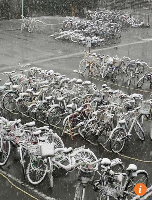 Lần đầu tiên trong 54 năm qua, tuyết rơi ở Tokyo vào tháng 11 - 12