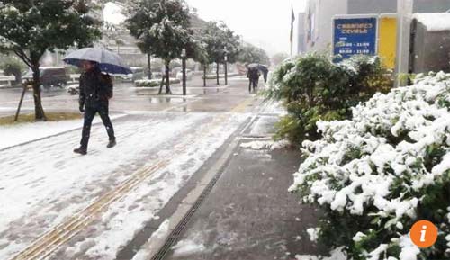 Lần đầu tiên trong 54 năm qua, tuyết rơi ở Tokyo vào tháng 11 - 13