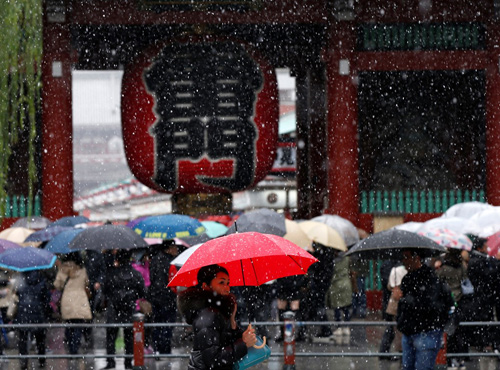 Lần đầu tiên trong 54 năm qua, tuyết rơi ở Tokyo vào tháng 11 - 10