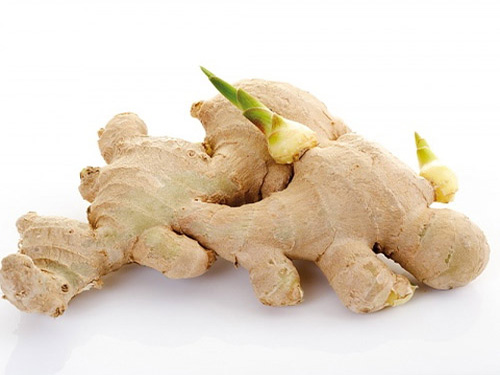 4 loại củ mọc mầm CHỚ DẠI mà ăn nếu không muốn rước bệnh vào người - 2