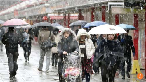 Lần đầu tiên trong 54 năm qua, tuyết rơi ở Tokyo vào tháng 11 - 7