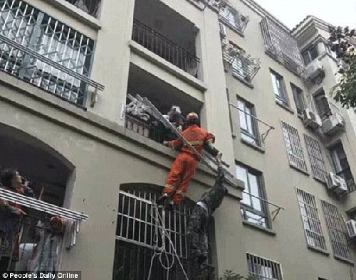 Sự sống sót không ai ngờ của cụ ông 90 tuổi rơi từ chung cư cao tầng - 4