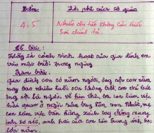 Những bài văn tả thực của trẻ tiểu học khiến giáo viên quot;cạn lờiquot; - 3