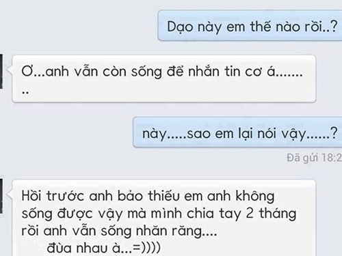 Cười đau bụng với loạt tin nhắn của tình cũ “phũ” đừng hỏi! - 14