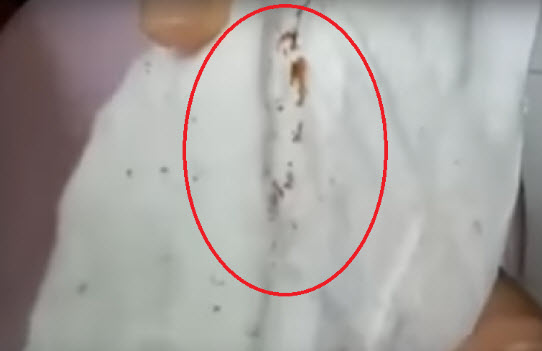 Phát hiện thứ bên trong lõi băng vệ sinh có thể khiến bạn giật mình sợ hãi - 4