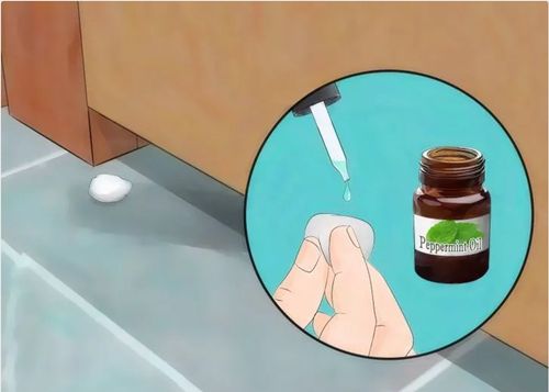 Đâu phải cứ dùng bẫy, 3 thực phẩm trong bếp này cũng giúp nhà không còn một bóng chuột - 2