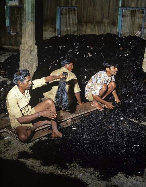 Bí mật đằng sau ngành công nghiệp amp;#34;vàng đenamp;#34; chế tạo tóc giả ( phần 2) - 1