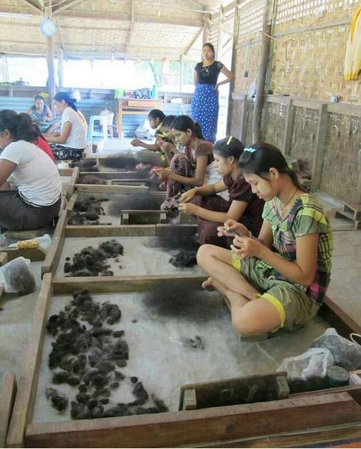 Bí mật đằng sau ngành công nghiệp amp;#34;vàng đenamp;#34; chế tạo tóc giả ( phần 2) - 2