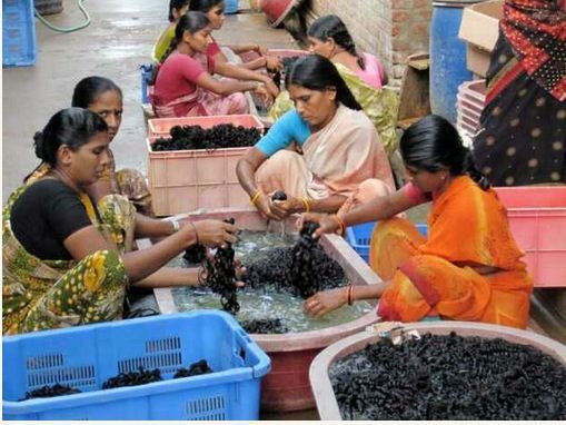 Bí mật đằng sau ngành công nghiệp amp;#34;vàng đenamp;#34; chế tạo tóc giả ( phần 2) - 3