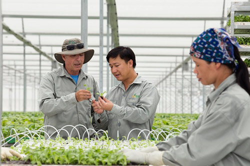 Vingroup ký thỏa thuận hợp tác với 250 hợp tác xã và hộ sản xuất - 1