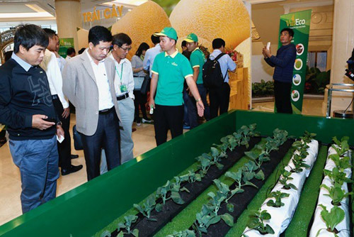 Vingroup ký thỏa thuận hợp tác với 250 hợp tác xã và hộ sản xuất - 3