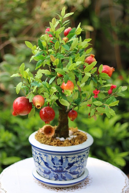 12 con giáp nên đặt đồ vật gì trong nhà để amp;#34;tiền vào như nướcamp;#34;, sự nghiệp thăng hoa? - 3