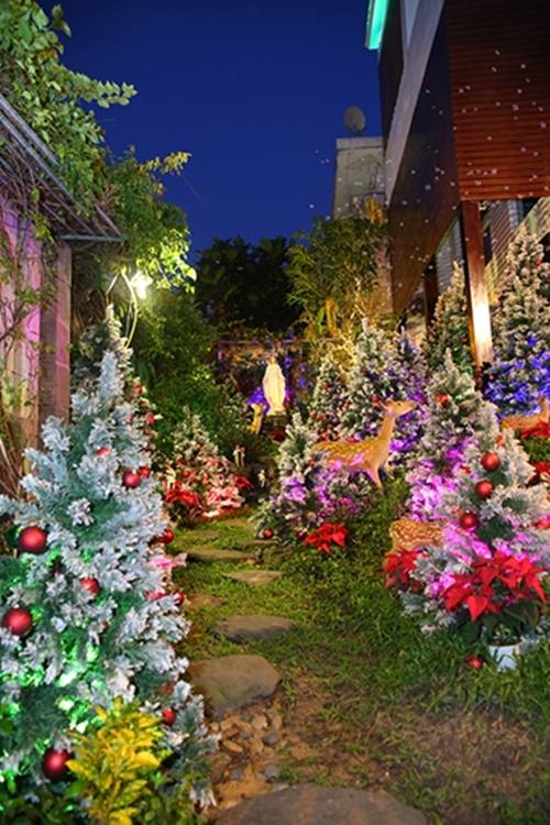 Đón Noel, nhà Đàm Vĩnh Hưng tan hoang sau khi công khai trả nợ cho mẹ - 8