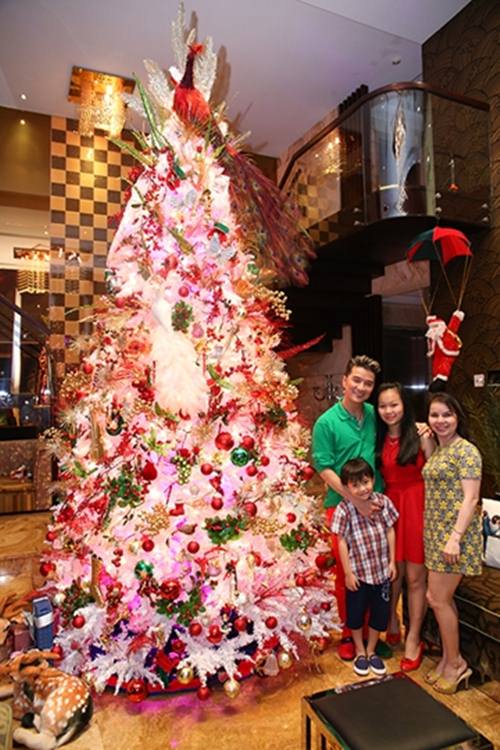 Đón Noel, nhà Đàm Vĩnh Hưng tan hoang sau khi công khai trả nợ cho mẹ - 13