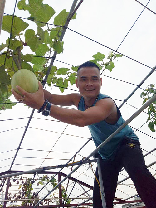 Ông bố đảm trồng rau sạch, thả cá trên sân thượng phục vụ vợ con - 19