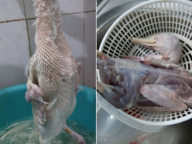 Không may ra mắt nhà chồng, mà nhổ lông vịt thế này là xong! - 4